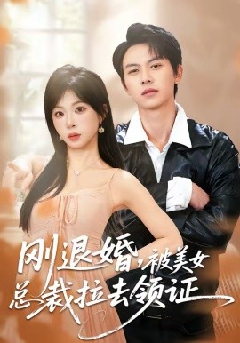 刚退婚，被美女总裁拉去领证(全集)